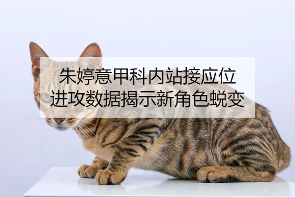 zhu-ting-yi-jia-ke-nei-zhan-jie-ying-wei-jin-gong-shu-ju-jie-shi-xin-jue-se-tui-bian-2-715.jpg