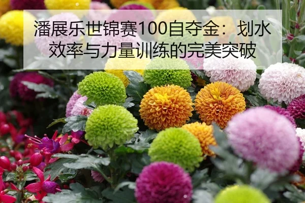 潘展乐世锦赛100自夺金：划水效率与力量训练的完美突破