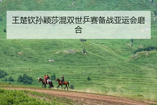 王楚钦孙颖莎混双世乒赛备战亚运会磨合