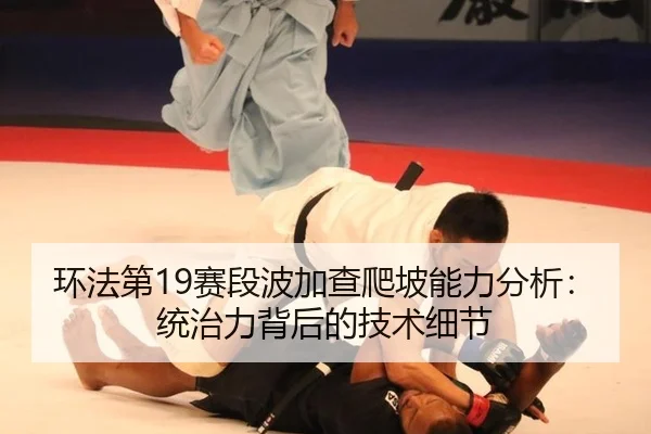 huan-fa-di-sai-duan-bo-jia-cha-pa-po-neng-li-fen-xi-tong-zhi-li-bei-hou-de-ji-shu-xi-jie-3-261.jpg