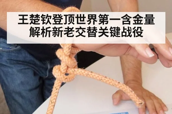 王楚钦登顶世界第一含金量解析新老交替关键战役
